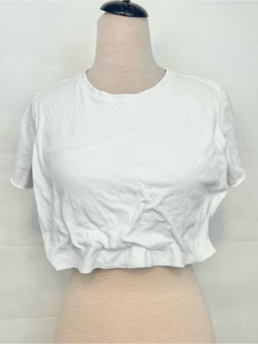 Free People We the Free Cropped Bubble-Hem Tee XS